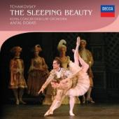 Album artwork for Ballet Edition - Tchaikovsky: Sleeping Beauty (2CD