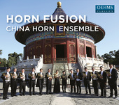 Album artwork for Horn Fusion
