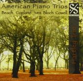 Album artwork for American Piano Trios