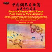Album artwork for Popular Chinese Piano Pieces