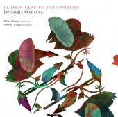 Album artwork for Fasch: Quartets & Concertos  /Ensemble Marsyas