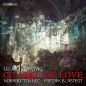 Album artwork for Živkovic: Citadel of Love
