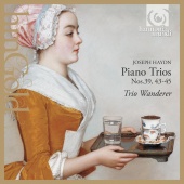 Album artwork for Haydn: Piano Trios 39, 43-45 / Trio Wanderer