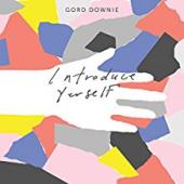 Album artwork for Gord Downie - Introduce Yourself