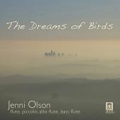 Album artwork for DREAMS OF BIRDS