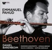Album artwork for Beethoven: Chamber Music with Flute / Pahud