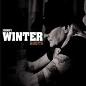 Album artwork for Johnny Winter: Roots