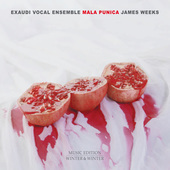 Album artwork for James Weeks: Mala Punica