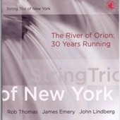 Album artwork for String Trio of New York - The River of Orion: 30 Y