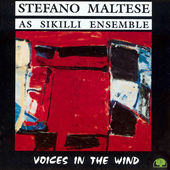 Album artwork for Stefano Maltese - Voices In The Wind 