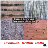 Album artwork for Guido Premuda - Girasoli 