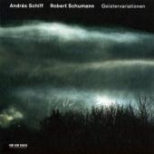 Album artwork for Schumann: Piano Music / Schiff