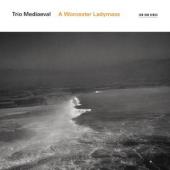 Album artwork for Trio Mediaeval: A Worcester Ladymass