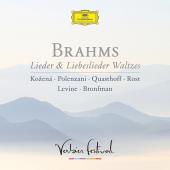 Album artwork for Brahms: Liebeslieder Waltes / Kozena, Quasthoff, e