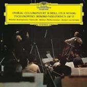 Album artwork for Dvorak: Cello Concerto (Rostropovich)