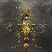 Album artwork for CONATUS (2LP) / Joep Beving