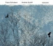 Album artwork for SCHUBERT: PIANO MUSIC (ANDRAS SCHIFF)