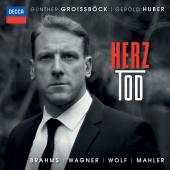 Album artwork for GUNTHER GROISSBOCK - HERZ TOD