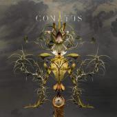 Album artwork for CONATUS / Joep Beving