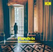 Album artwork for Christian Löffler: Parallels (Shellac Reworks) (1
