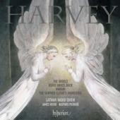 Album artwork for Harvey: The Angels, Ashes Dance Back, etc.