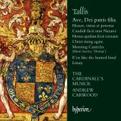 Album artwork for TALLIS. Ave Dei Patris Filia. Cardinall's Musick/C