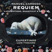 Album artwork for Cardoso: Requiem, Lamentations, Etc / Cupertinos