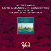 Album artwork for Vivaldi: Lute & Mandolin Concertos
