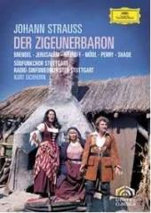Album artwork for J.  Strauss: Der Zigeunerbaron / Eichhorn,
