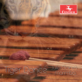Album artwork for Tiger Dance