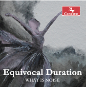 Album artwork for Equivocal Duration: What Is Noise