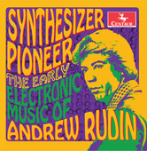 Album artwork for Rudin: Synthesizer Pioneer - The Early Electronic 