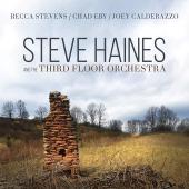 Album artwork for Steve Haines and the Third Floor Orchestra