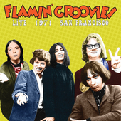 Album artwork for Flamin' Groovies - Live In San Francisco 1971 