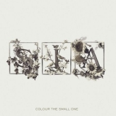 Album artwork for SIA: COLOUR THE SMALL ONE
