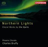 Album artwork for Gjeilo: Choral Works - Northern Lights