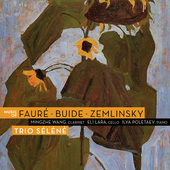 Album artwork for Trio Selene - Music Of Fauré, Buide, Zemlinsky 