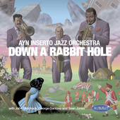 Album artwork for Ayn Inserto Jazz Orchestra - Down A Rabbit Hole 