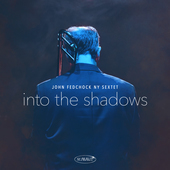 Album artwork for John Fedchock NY Sextet - Into The Shadows 