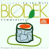 Album artwork for Blodek: IN THE WELL