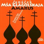 Album artwork for MSA GLAGOLSKAJA/GLAGOLITIC MASS