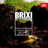 Album artwork for Brixi: Organ concertos / Hermanova