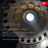 Album artwork for Zelenka: Sepolcri - Cantatas for Holy Sepulchre /