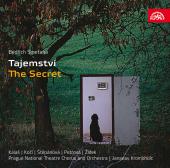 Album artwork for Smetana: Tajemstvi (The Secret)