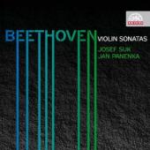Album artwork for BEETHOVEN: COMPLETE VIOLIN SONATAS / SUK