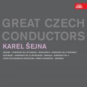 Album artwork for GREAT CZECH CONDUCTORS: SEJNA