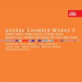 Album artwork for DVORAK CHAMBER WORKS II