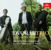 Album artwork for Dvorak: Slavonic Dances / Dumky Trio