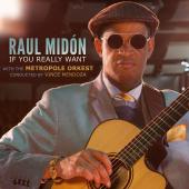 Album artwork for IF YOU REALLY WANT IT / Raul Midon