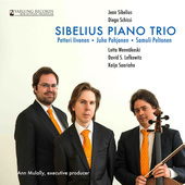 Album artwork for SIBELIUS PIANO TRIO
